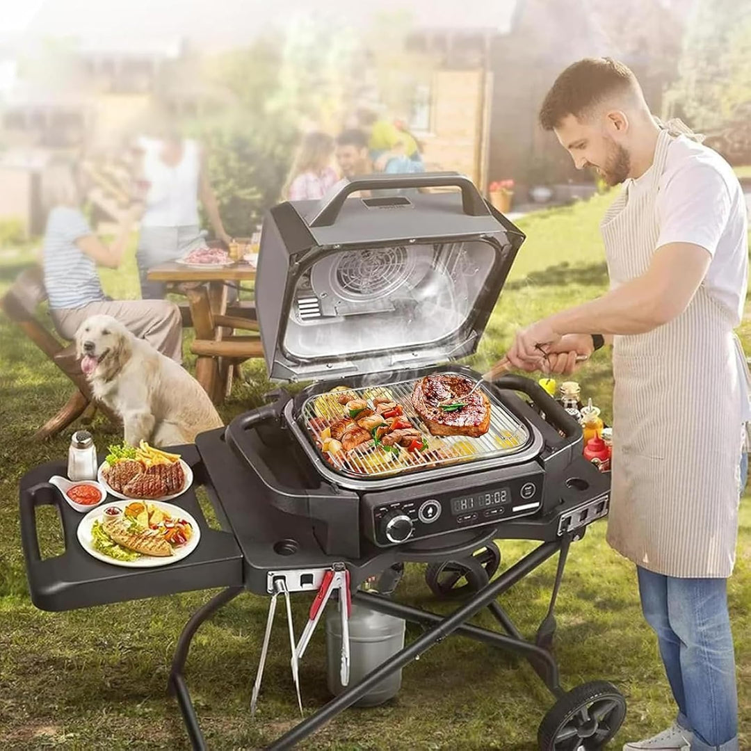 2 Stück Grillrost Edelstahl für Ninja Woodfire Elektrogrill &amp; Smoker, Grill Zubehör Kompatibel mit N