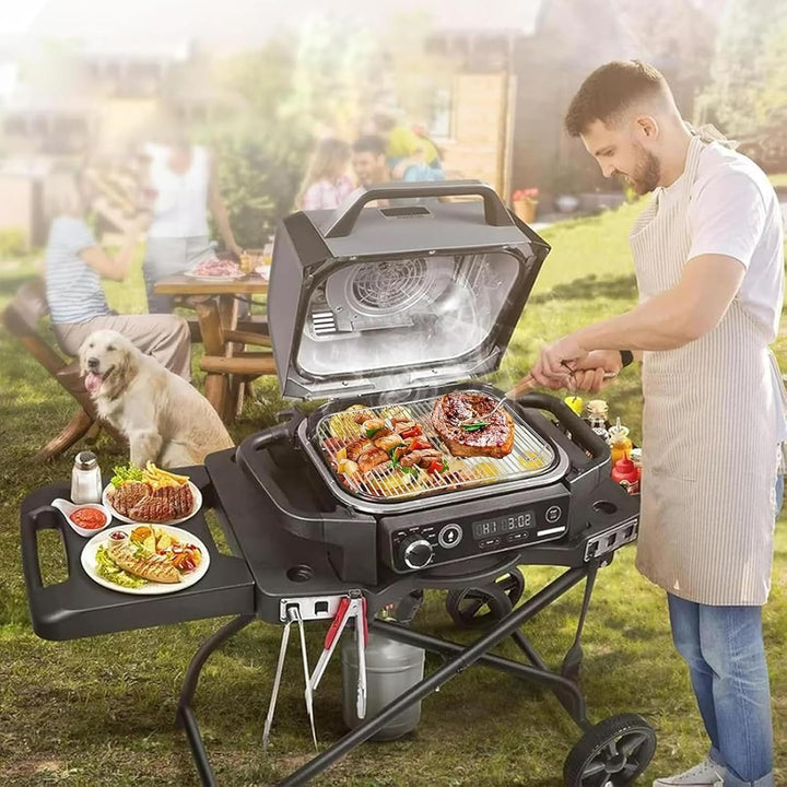 2 Stück Grillrost Edelstahl für Ninja Woodfire Elektrogrill &amp; Smoker, Grill Zubehör Kompatibel mit N