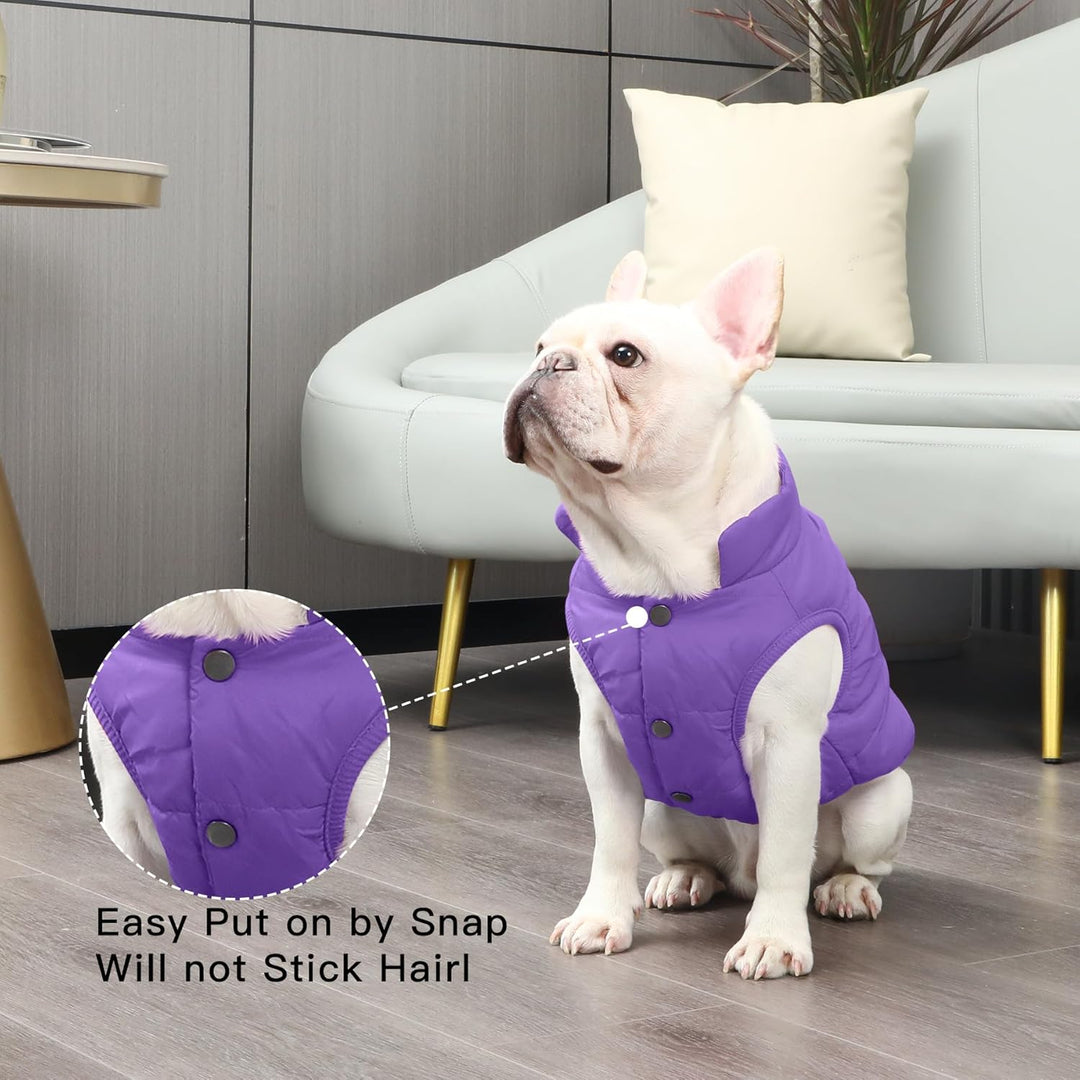 Fleece Hundejacke für Winter kaltes Wetter, Extra Weicher Hundemantel für Kleine Hunde, Winddichte W