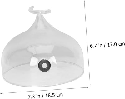 Cabilock Glashaube Tassenabdeckungen Für Getränke Tortenständer Glas Bäckerei Dessert Rauchglasabdec