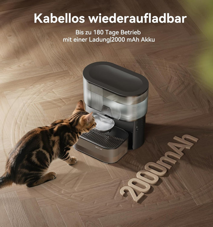 Katzenbrunnen Kabellos, FEELNEEDY Katzenbrunnen ohne Filter, mit Schmutz-Wasser-Trennung|Edelstahlsc