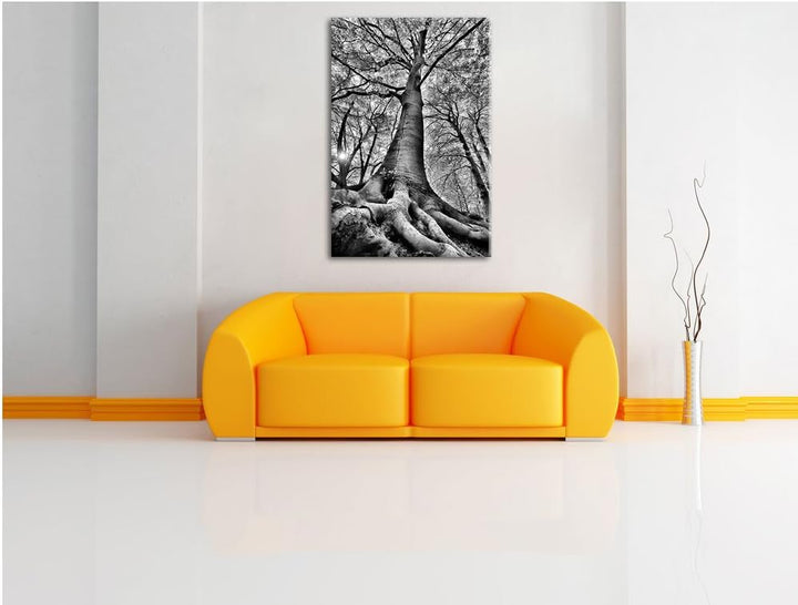 Pixxprint Riesiger Baum im Dschungel / 100x70cm Leinwandbild bespannt auf Holzrahmen/Wandbild Kunstd