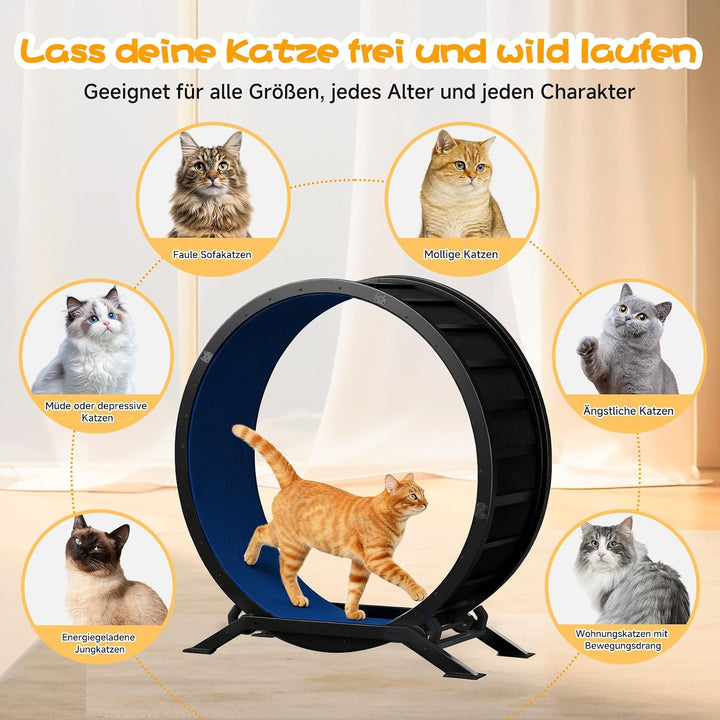 GTPLAYER Katzenlaufrad, laufrad Katze, Extra grosser 100 cm, ultraleises Laufrad mit Abnehmbarer Tep