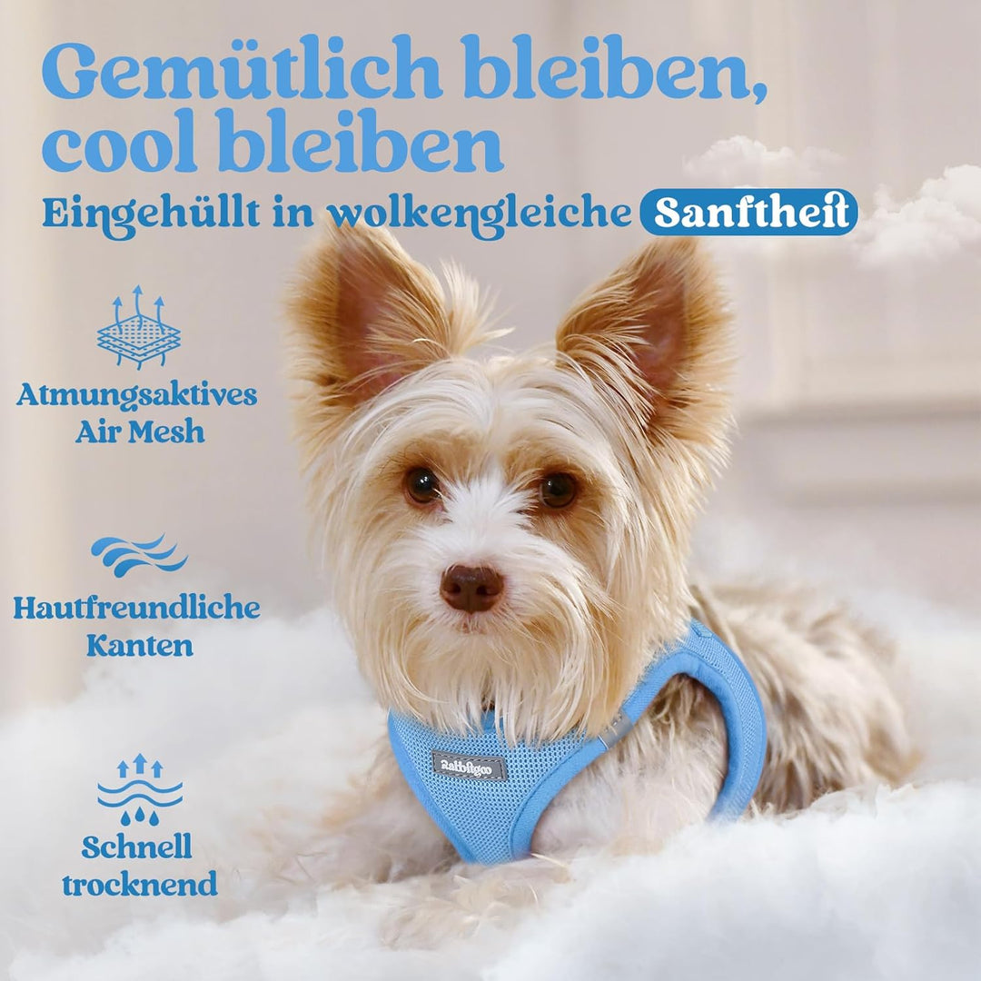 rabbitgoo Hundegeschirr Kleine Hunde, Step-in Welpengeschirr Weich Mesh für Spaziergänge, Atmungsakt