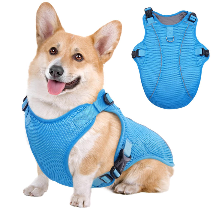Kuoser Hund Kühlweste, Kühlweste für Hunde zur Abkühlung im Sommer, Atmungsaktive Hundekühlweste mit