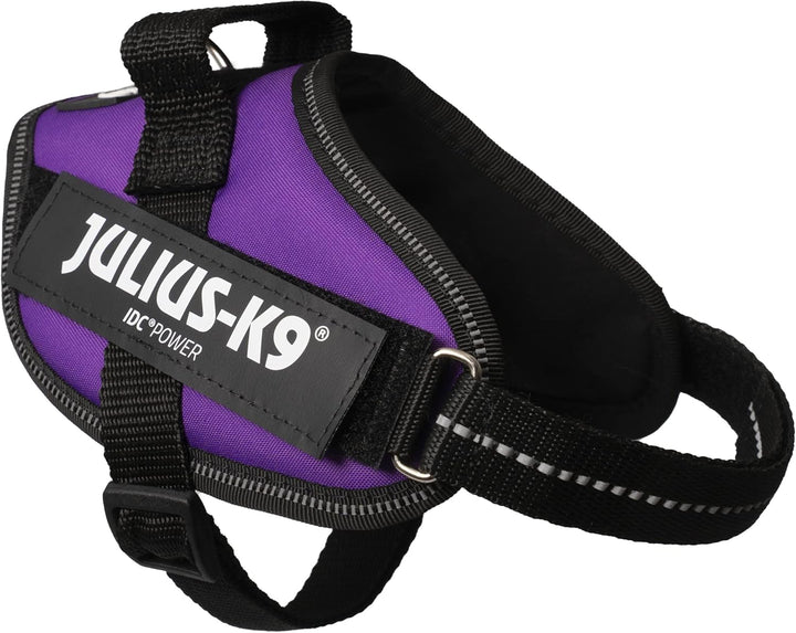 Julius-K9, IDC Powergeschirr, Grösse: XS/Mini-Mini, Dunkelviolett Dunkelviolett XS/Mini-Mini, Dunkel