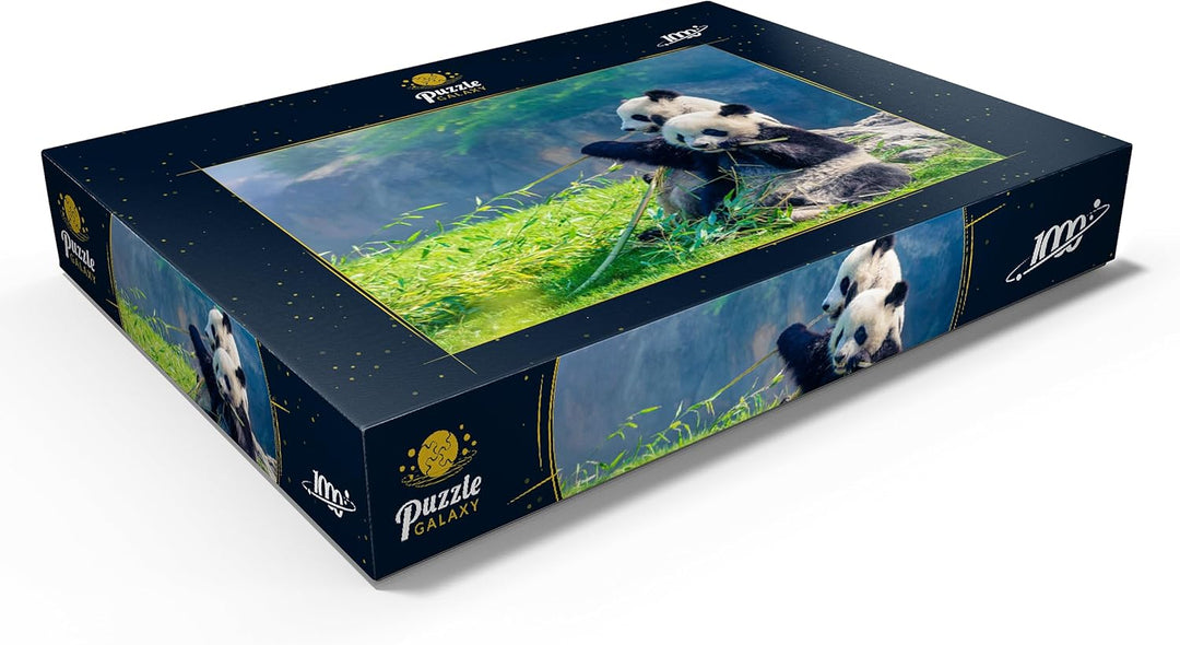 Mutter Panda und Ihr Baby Panda beim Bambus Essen - Premium 1000 Teile Puzzle - MyPuzzle Sonderkolle
