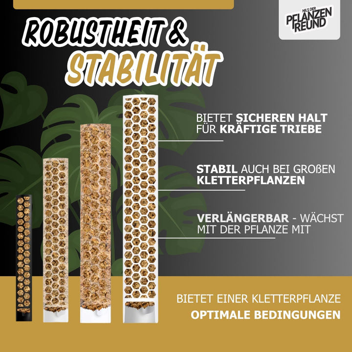 Nils der Pflanzenfreund® Moosstab [PlantScraper] 35 cm (M) / 3 Stück/Matt | Pflanzenstab | Moss Pole