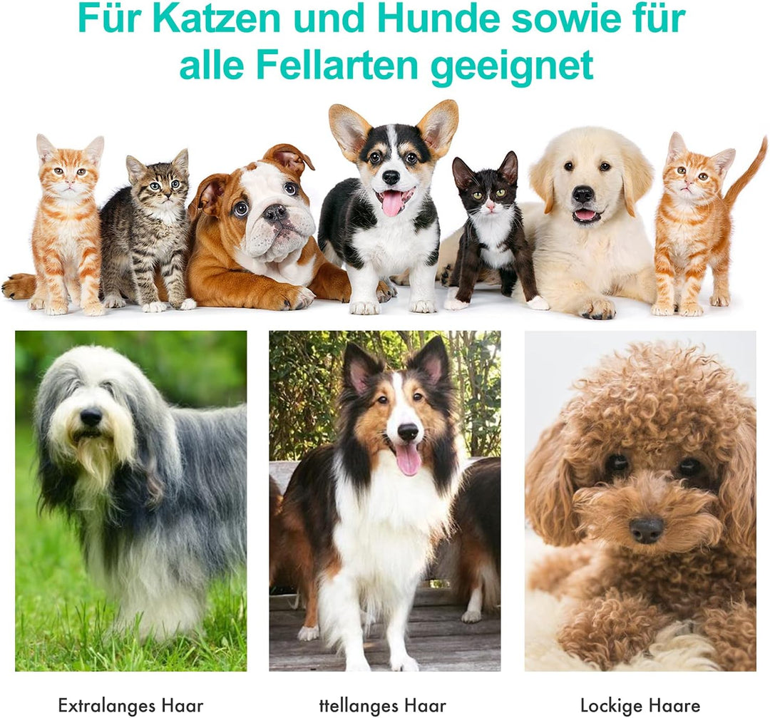 neabot P1 Pro Hundeschermaschine mit Tierhaar Staubsauger, Profi Haustierpflegeset, leise Schermasch