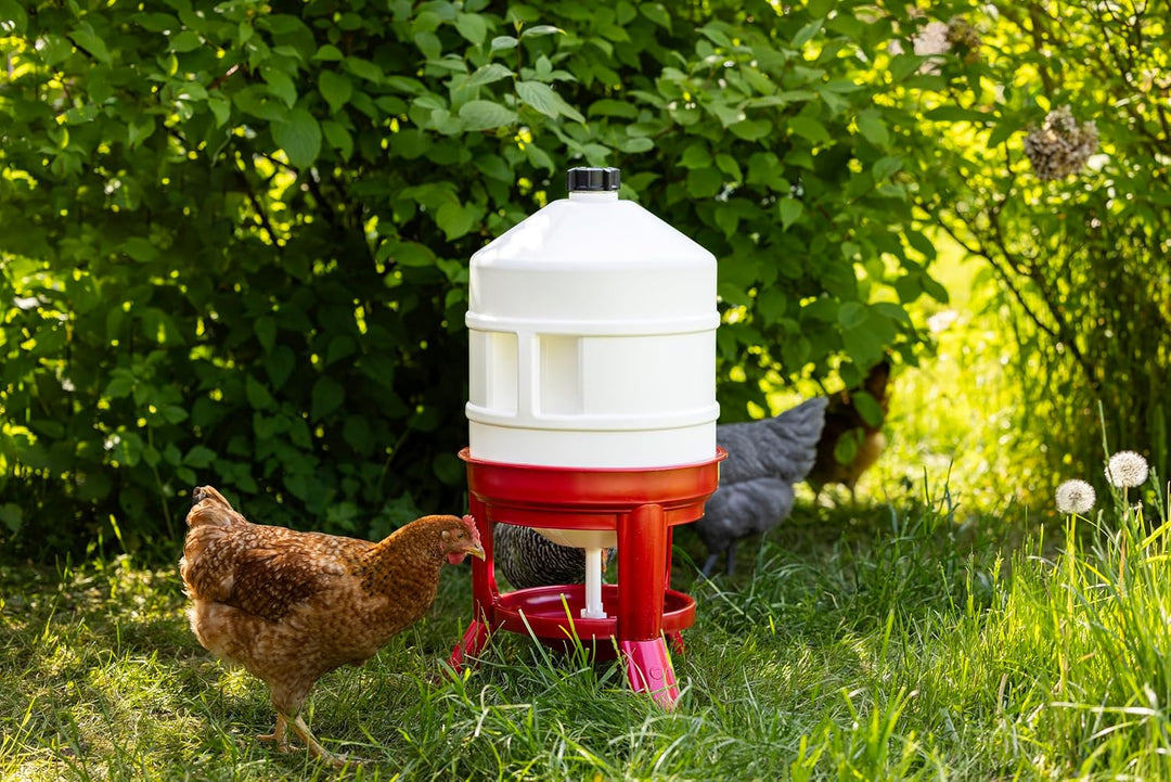 Kerbl Hühnertränke 30L, Automatische Wasserversorgung für Geflügel, Bruchfester langlebiger Kunststo