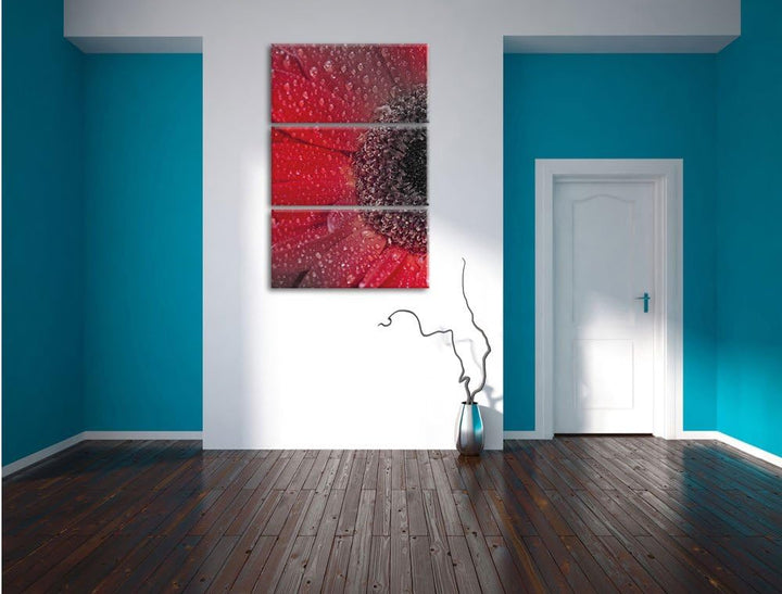 Pixxprint Rote Gerbera mit Wassertropfen als Leinwandbild/Grösse: 3 Teilig (120x80) cm/Wandbild/Kuns