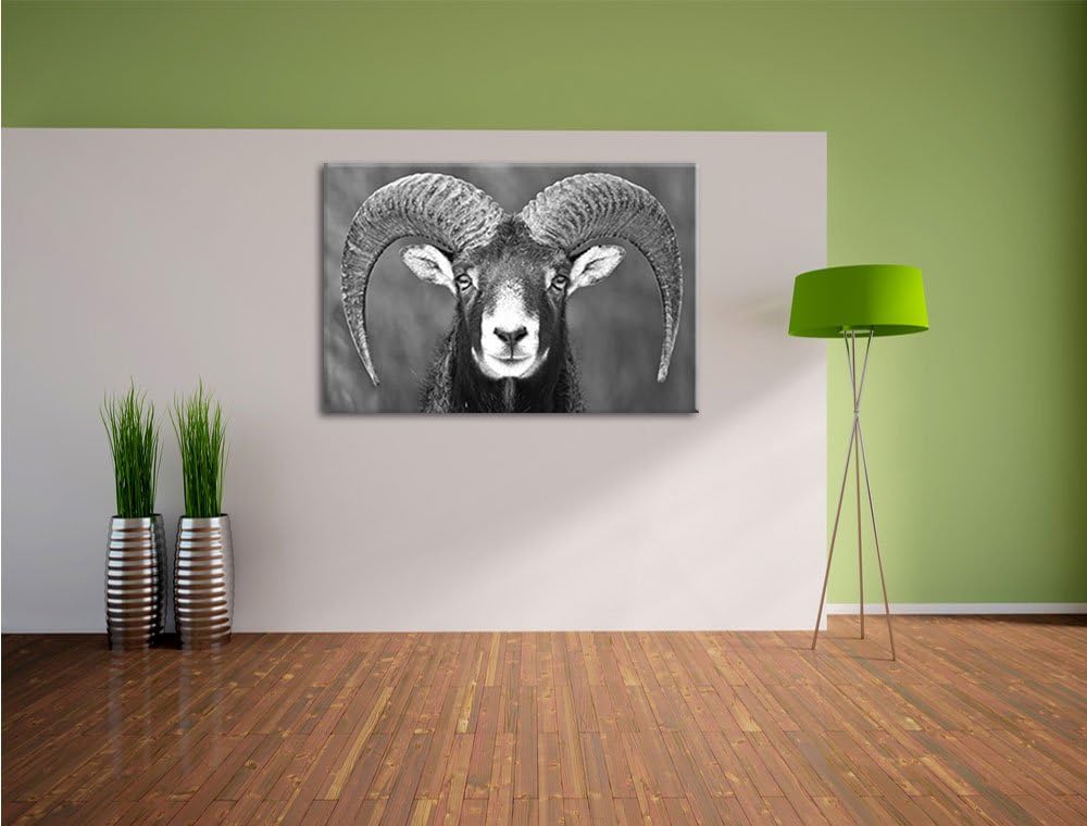 Mufflon Porträt Kunst B&W, Format: 100x70 auf Leinwand, XXL riesige Bilder fertig gerahmt mit Keilra