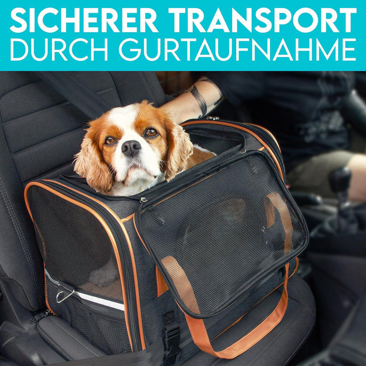 HUND IST KÖNIG Hundetasche &amp; Katzentasche bis 8kg - Hochwertige Hundetragetasche - Transporttasche f
