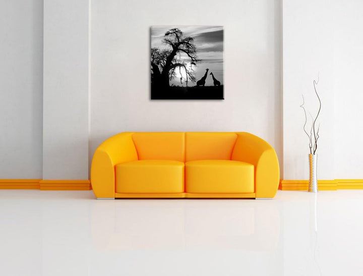 Pixxprint Zwei Giraffen in der Wüste Schwarz/Weiss, Format: 70x70 auf Leinwand, 70x70