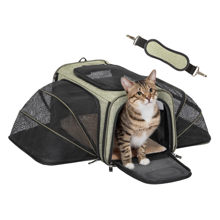 Petsfit Katzentragetasche, von Fluggesellschaften zugelassen, erweiterbare Haustier-Tragetasche, zwe