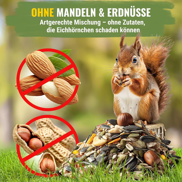 Natuverra Eichhörnchen-Menü 2 kg Premium-Mix aus Saaten, Getreide, Nüssen, Früchten & Gemüse, Protei