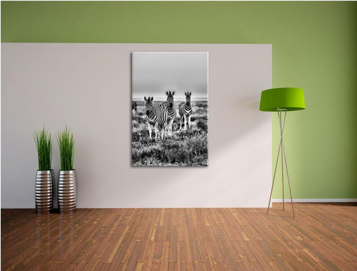 Pixxprint Zebras in Savanne als Leinwandbild/Grösse: 100x70 cm/Wandbild/Kunstdruck/fertig bespannt,