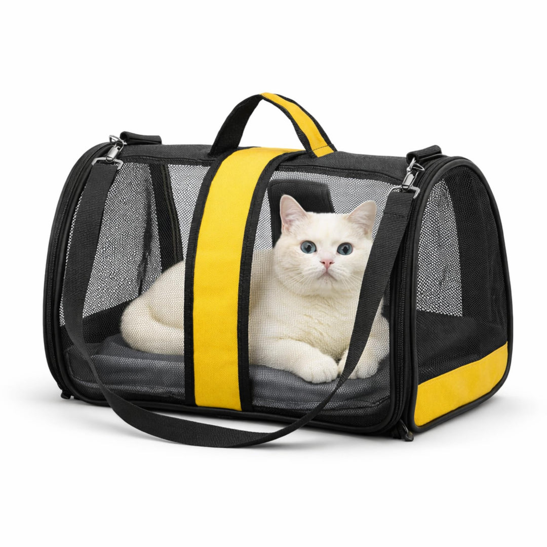 Blue Eyes Transportbox Katze Hund Faltbare Katzentransportbox Transparent Transporttasche für Hausti