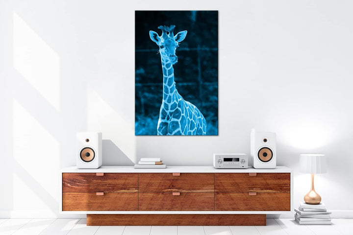 deyoli süsse junge Giraffe Format 60x40 Effekt: Monocrome Blau als Leinwandbild, Motiv fertig gerahm
