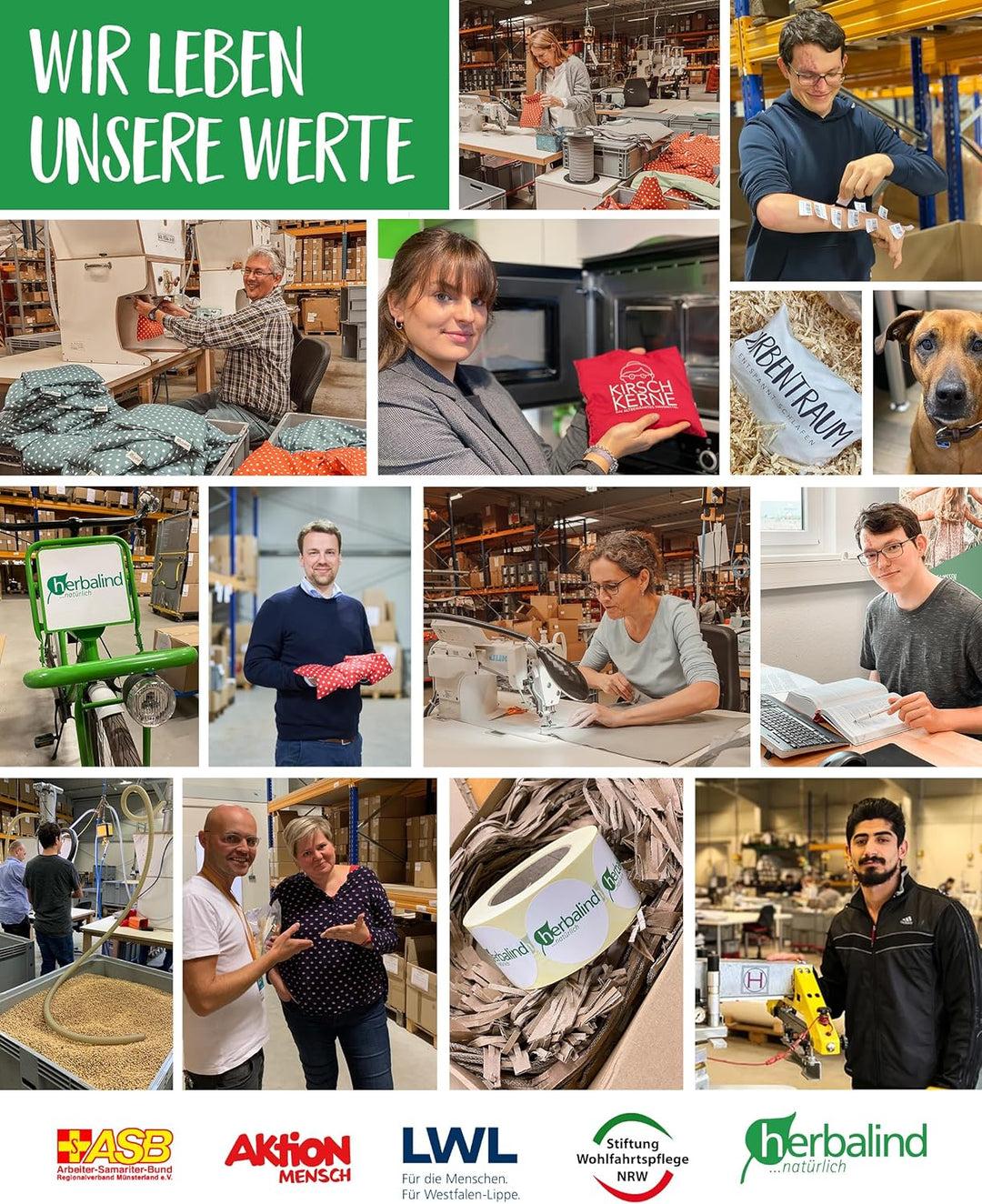 Herbalind NEU Leseknochen Lesekissen Nackenkissen als Buchstütze - 40 x 18 cm Nackenrolle Stützkisse