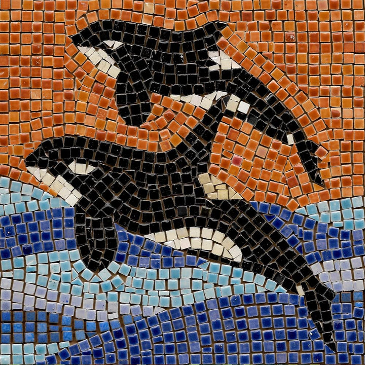 Mosaik bastelset, DIY 20x20cm, Orca 2, Orca 2