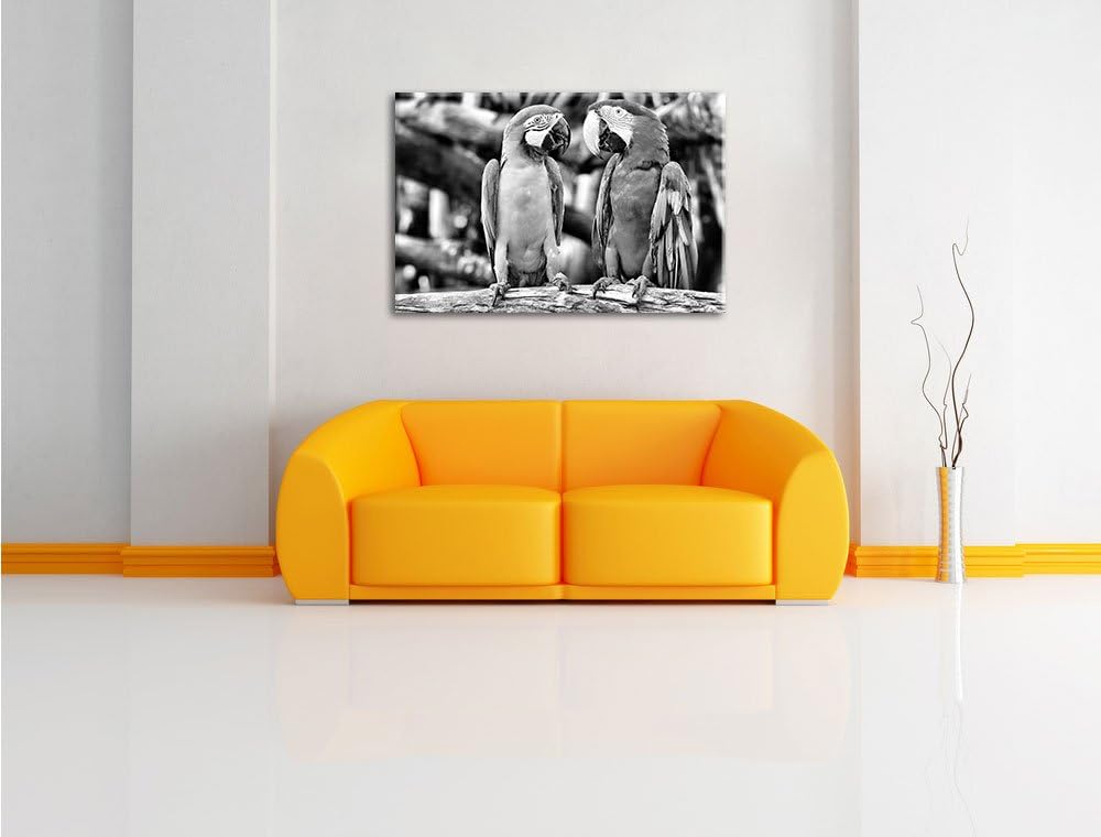 Zwei Papageien auf einem AST / 100x70cm Leinwandbild bespannt auf Holzrahmen/Wandbild Kunstdruck Dek