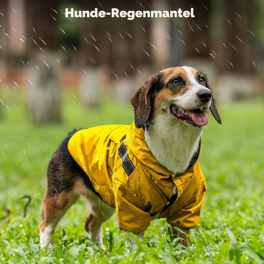 JoyDaog Premium-Hunde-Regenmantel mit Kapuze für extra kleine Hunde, Outdoor-Sport, wasserdichte Hun