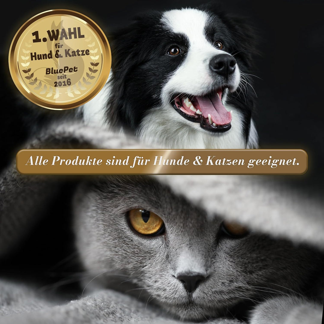 BluePet LIMITED Katzenbürste & Hundebürste Kurzhaar zum Entfernen von losem Fell & Unterwolle I Bis
