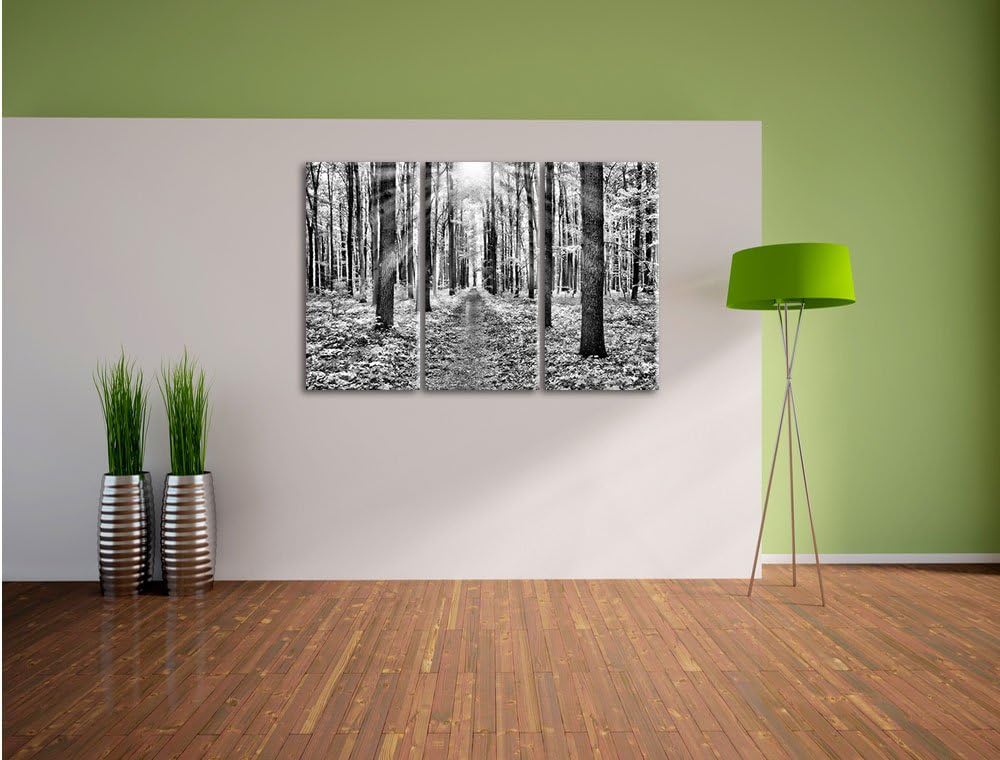 Pixxprint Sonnenlicht Wald / 3-Teilig/Gesamtmass 120cm Leinwandbild bespannt auf Holzrahmen/Wandbild