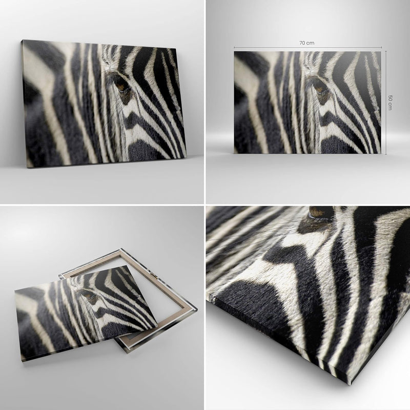 Bilder auf Leinwand Zebra Streifen Tierwelt Safari Leinwandbild 70x50cm Wandbilder Dekoration Wohnzi