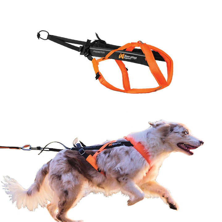 Non-stop dogwear Freemotion Harness 5.0 | Hunde-Geschirr für alle Sportarten, Grösse:Grösse 3 schwar