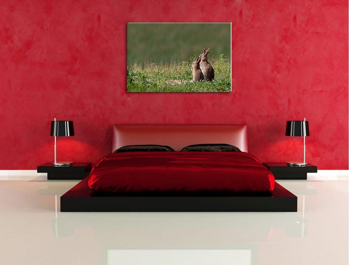 zwei Häschen auf Frühlingswiese Leinwand, XXL riesige Bilder fertig gerahmt mit Keilrahmen, Kunstdru