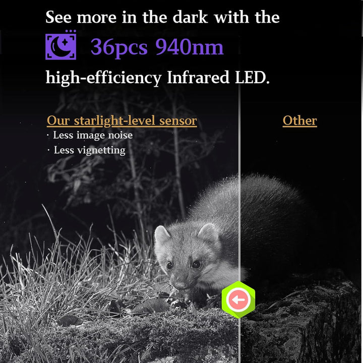 2tlg. Wildkamera Fotofalle Beute Kamera JagdKamera, 32MP HD Video, 36pcs IR LED No-Glow Nachtsicht W