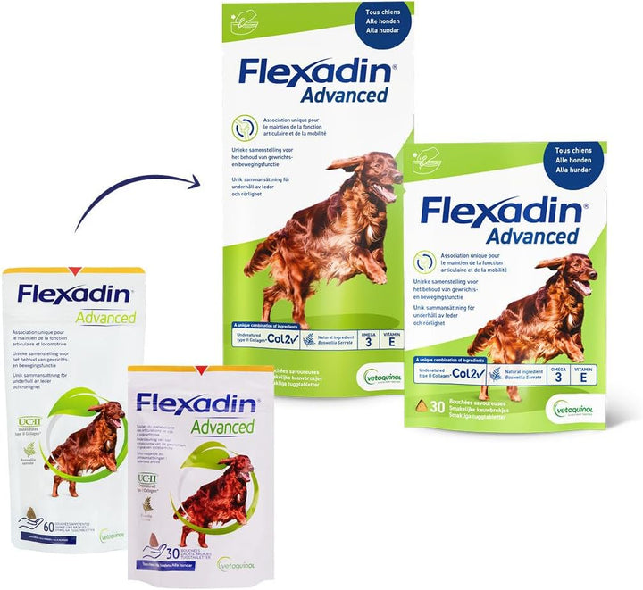 Flexadin Advanced Original - 60 Stück