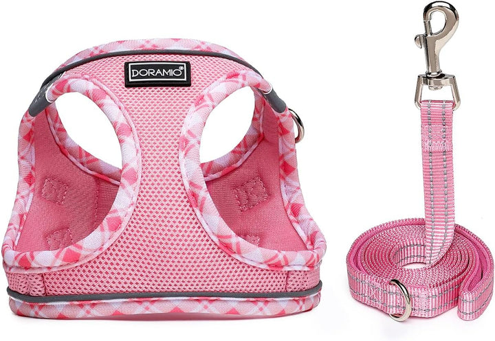 DORAMIO Hundegeschirr Kleine Hunde mit Leine, Step-in Geschirr Reflektierend Atmungsaktiv Brustgesch