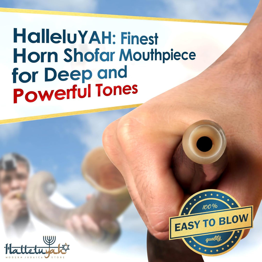HalleluYAH Original koscher, halbpolierter Kudu Shofar aus Israel 35"-39", 35"-39"