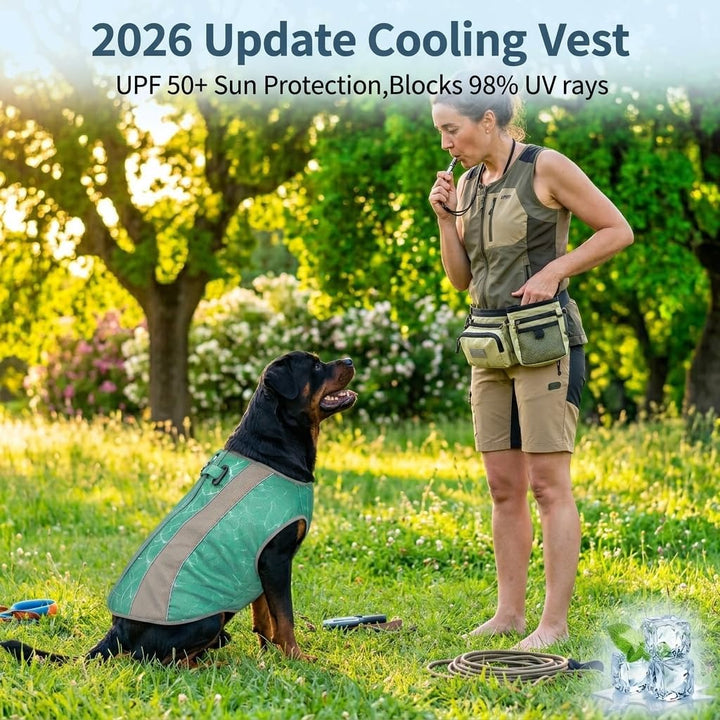 2 in 1 Winterhundemantel und Hundekühlmantel, Sommer-Kühlweste für Welpen Sonnenschutz, reflektieren