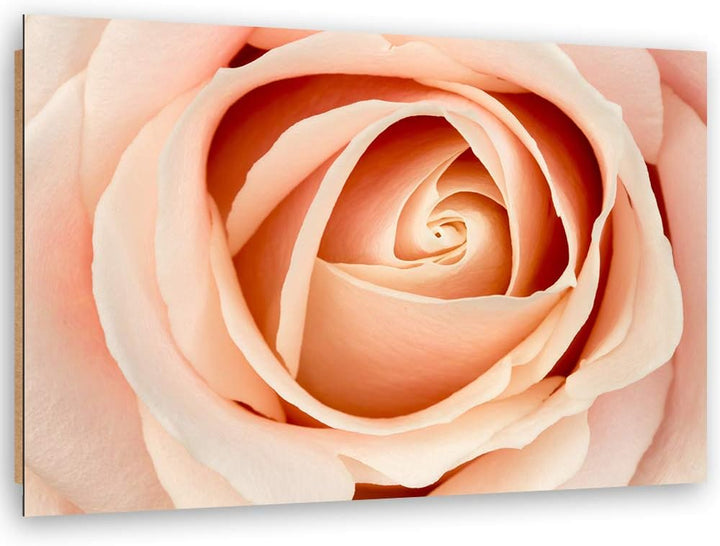 Wanddeko Natur Kunst modern Bilder Blume Orange 100x70 cm M14558 100x70 cm, M14558 100x70 cm