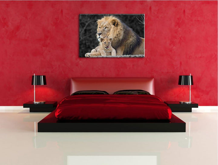 prächtiger Löwe kuschelt mit kleinem Jungtier schwarz/weiss Format: 100x70auf Leinwand, XXL riesige