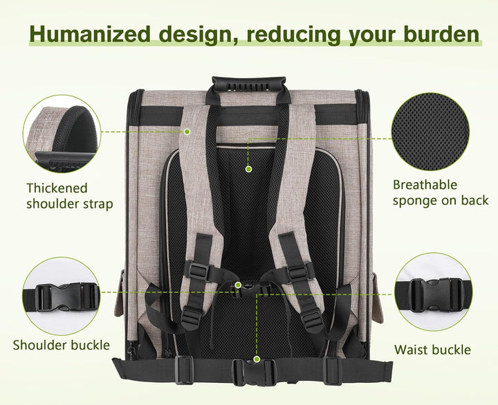 pecute Hunderucksack, Erweiterbar Faltbar, Katzenrucksack Grosse Katzen mit Anti-offener Reissversch