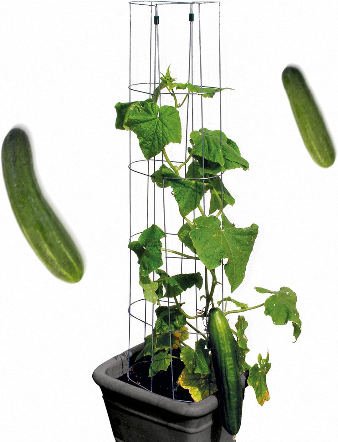 bellissa – Gurken-Rankhilfe aus Stahl einzeln 120cm verzinkt – Gurkenturm Rankgitter für Tomaten, Gu