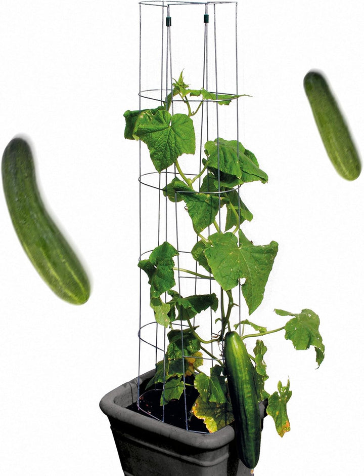 bellissa – Gurken-Rankhilfe aus Stahl einzeln 120cm verzinkt – Gurkenturm Rankgitter für Tomaten, Gu
