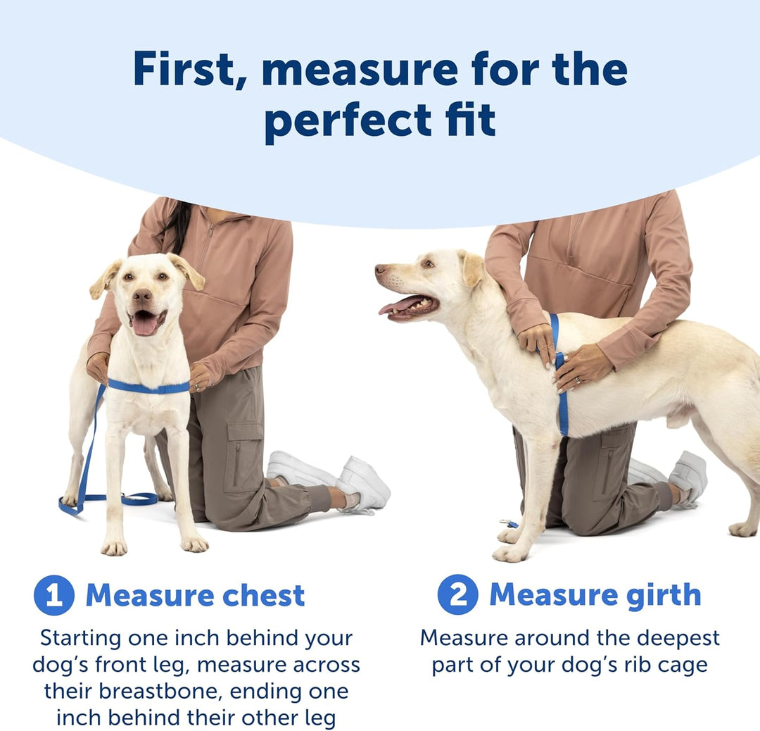 PetSafe Deluxe Easy Walk Hundegeschirr Stahlgrau / Schwarz Medium/Large, Stahlgrau / Schwarz Medium/