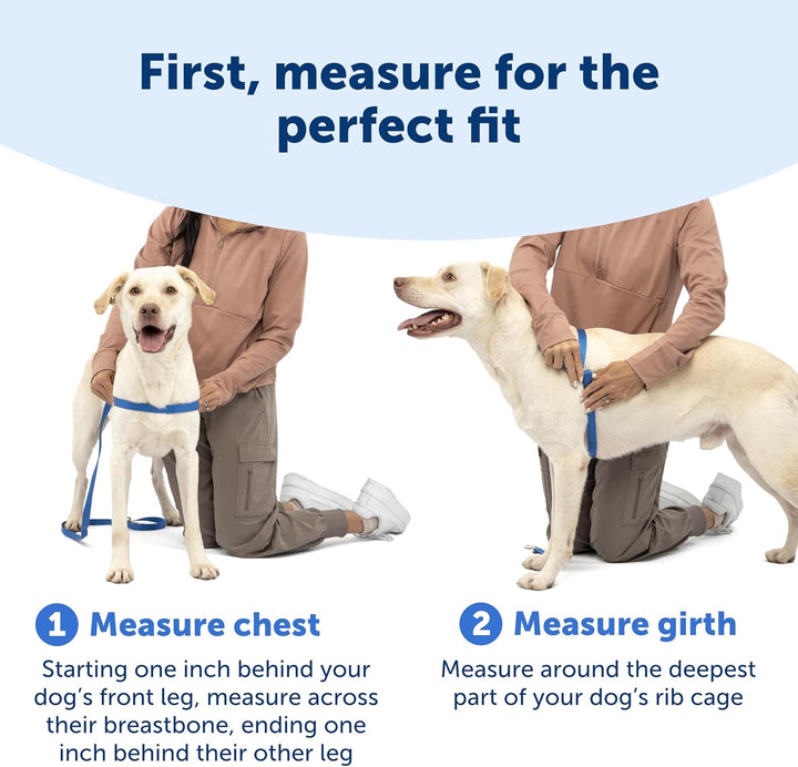 PetSafe Deluxe Easy Walk Hundegeschirr Stahlgrau / Schwarz Medium/Large, Stahlgrau / Schwarz Medium/