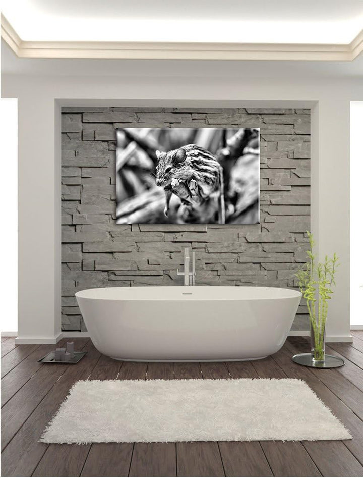 Pixxprint ruhende Feldmaus als Leinwandbild | Grösse: 100x70 cm | Wandbild | Kunstdruck | fertig bes