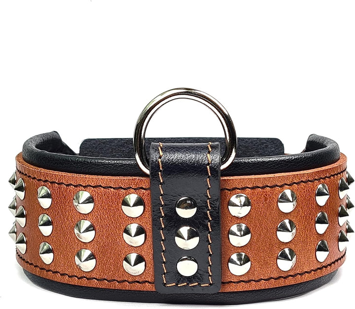 Bestia Star Hundehalsband mit Nieten und Innenpolsterung 6,5 cm Breit XL- 57.5 bis 65 cm Halsumfang