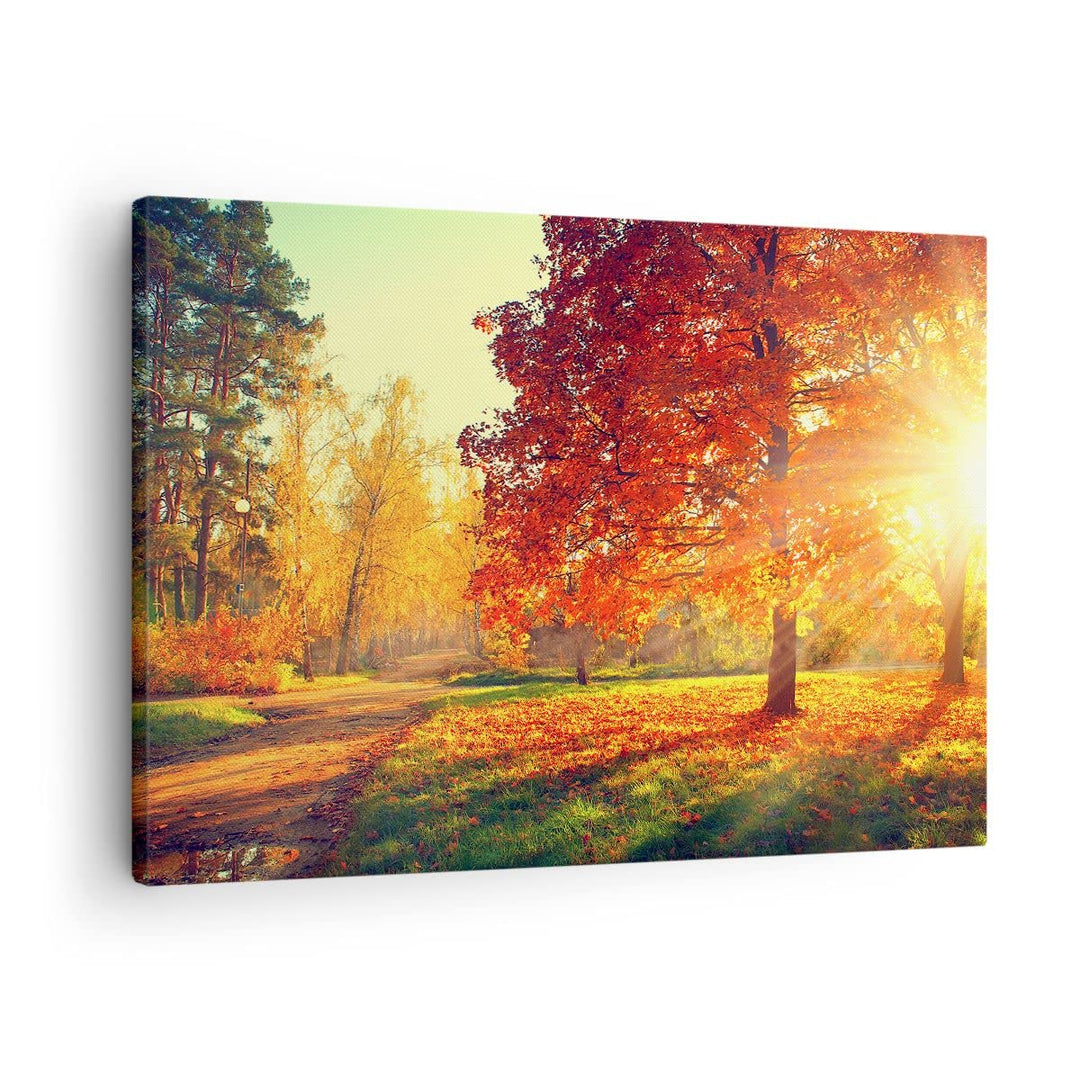 Bilder auf Leinwand Park Herbst Baum Leinwandbild mit Rahmen 70x50cm Wandbilder Dekoration Wohnzimme
