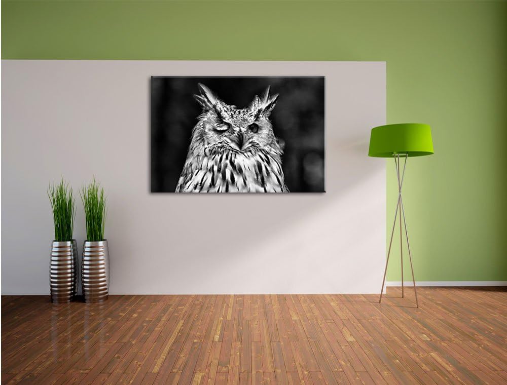 Pixxprint Waldohreule zwinkert / 100x70cm Leinwandbild bespannt auf Holzrahmen/Wandbild Kunstdruck D