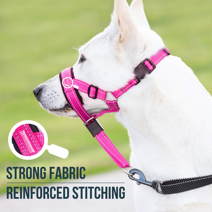 GoodBoy Halfter für Hunde, Nylon, Rosa, 2 Stück 2 Rosa Nylon / schwarze Polsterung, 2 Rosa Nylon / s