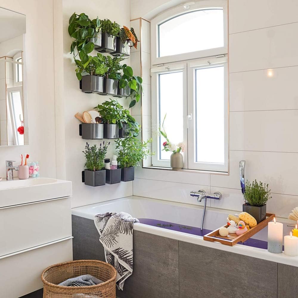 LECHUZA CUBE Glossy Green Wall Home Kit weiss-highgloss 13523 48x14x10 cm Weiss-highgloss, 48x14x10